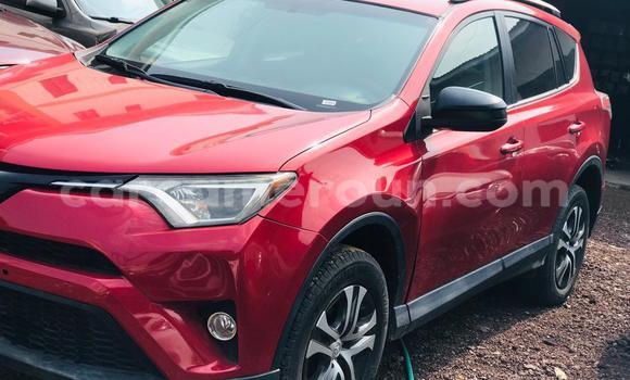 Buy Import Toyota RAV4 Red Car in Douala in Littoral Cameroon Buy Import Toyota RAV4 Red Car in Douala in Littoral Cameroon