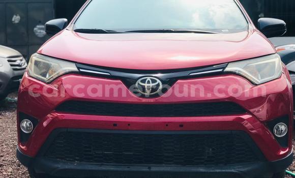 Buy Import Toyota RAV4 Red Car in Douala in Littoral Cameroon Buy Import Toyota RAV4 Red Car in Douala in Littoral Cameroon