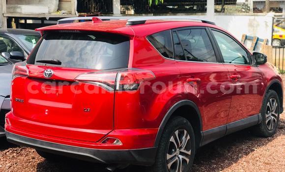 Buy Import Toyota RAV4 Red Car in Douala in Littoral Cameroon Buy Import Toyota RAV4 Red Car in Douala in Littoral Cameroon