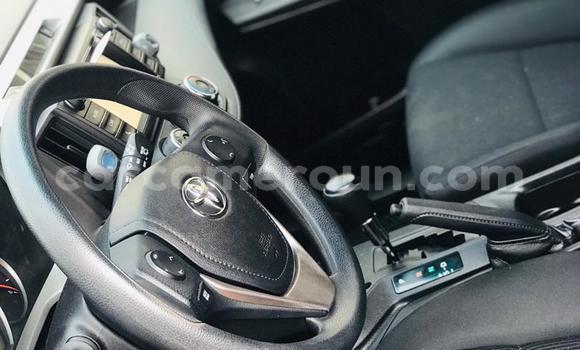 Buy Import Toyota RAV4 Red Car in Douala in Littoral Cameroon Buy Import Toyota RAV4 Red Car in Douala in Littoral Cameroon
