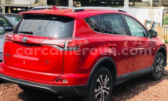Buy Import Toyota RAV4 Red Car in Douala in Littoral Cameroon Buy Import Toyota RAV4 Red Car in Douala in Littoral Cameroon