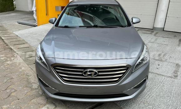Acheter Occasion Voiture Hyundai Sonata Gris à Douala, Littoral Cameroon Acheter Occasion Voiture Hyundai Sonata Gris à Douala, Littoral Cameroon