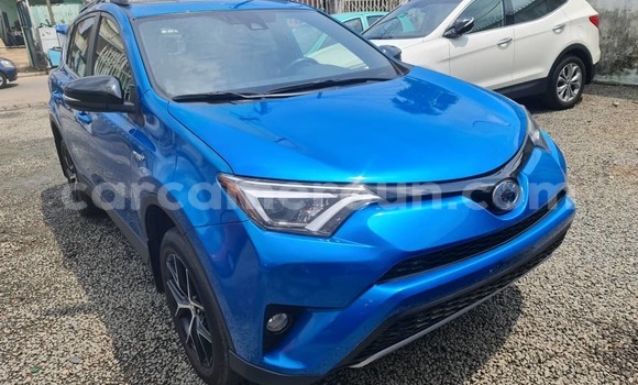 Buy Import Toyota RAV4 Blue Car in Douala in Littoral Cameroon Buy Import Toyota RAV4 Blue Car in Douala in Littoral Cameroon