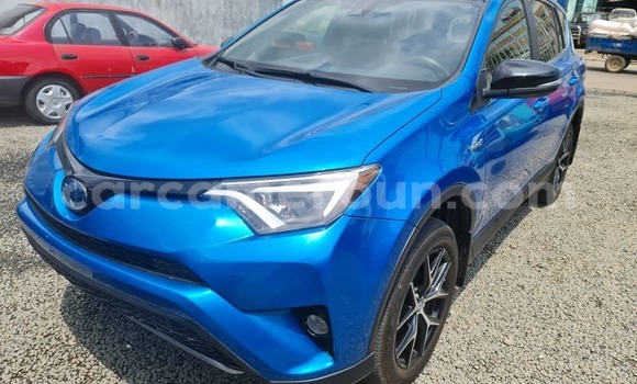 Buy Import Toyota RAV4 Blue Car in Douala in Littoral Cameroon Buy Import Toyota RAV4 Blue Car in Douala in Littoral Cameroon