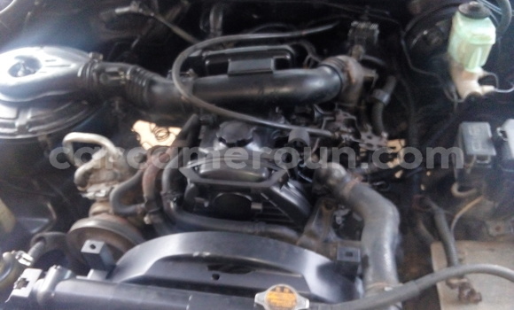 Acheter Occasion Voiture Toyota Hilux Bleu à Douala, Littoral Cameroon Acheter Occasion Voiture Toyota Hilux Bleu à Douala, Littoral Cameroon