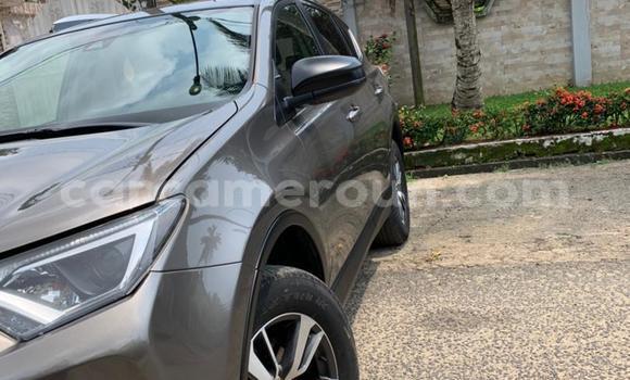 Buy Used Toyota RAV4 Other Car in Douala in Littoral Cameroon Buy Used Toyota RAV4 Other Car in Douala in Littoral Cameroon
