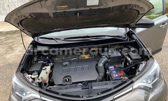 Buy Used Toyota RAV4 Other Car in Douala in Littoral Cameroon Buy Used Toyota RAV4 Other Car in Douala in Littoral Cameroon