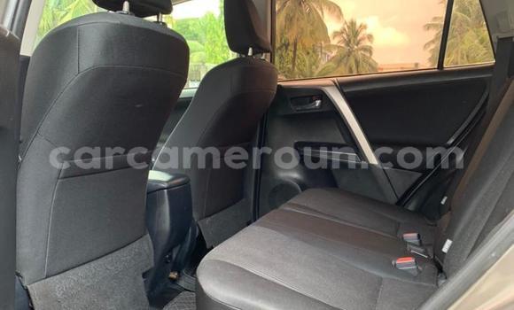 Buy Used Toyota RAV4 Other Car in Douala in Littoral Cameroon Buy Used Toyota RAV4 Other Car in Douala in Littoral Cameroon