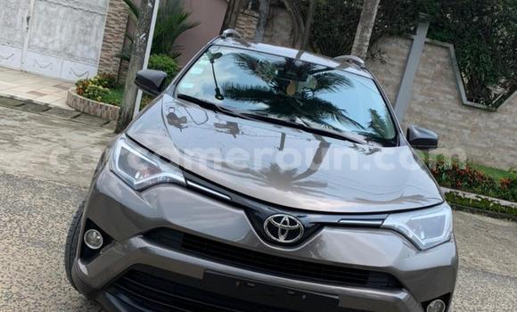 Buy Used Toyota RAV4 Other Car in Douala in Littoral Cameroon Buy Used Toyota RAV4 Other Car in Douala in Littoral Cameroon