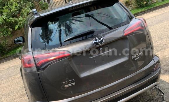 Buy Used Toyota RAV4 Other Car in Douala in Littoral Cameroon Buy Used Toyota RAV4 Other Car in Douala in Littoral Cameroon