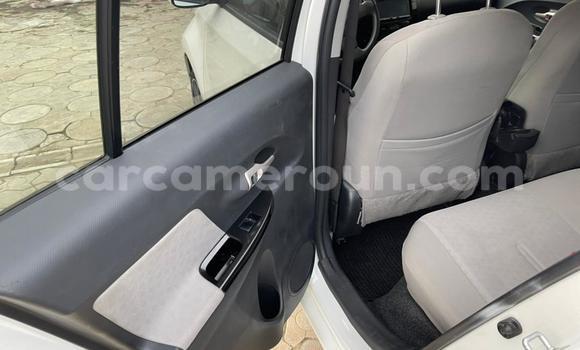 Sayi Na hannu Toyota IST White Mota in Douala a Ƙasar Kamaru Sayi Na hannu Toyota IST White Mota in Douala a Ƙasar Kamaru