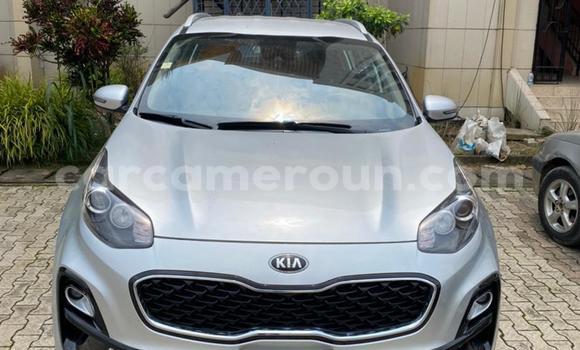 Buy Used Kia Sportage Silver Car in Douala in Littoral Cameroon Buy Used Kia Sportage Silver Car in Douala in Littoral Cameroon