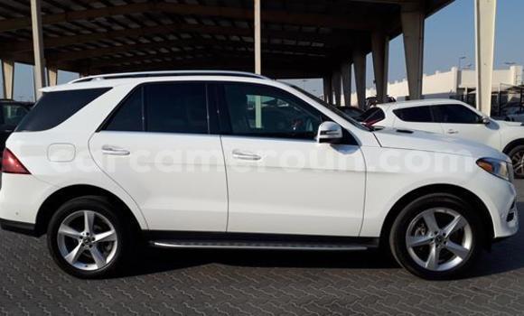 Sayi Na hannu Mercedes‒Benz GLE White Mota in Ambam a Kamaru ta Kudu Sayi Na hannu Mercedes‒Benz GLE White Mota in Ambam a Kamaru ta Kudu