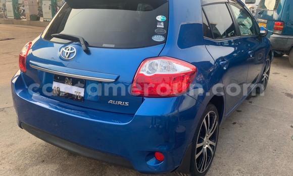 Buy New Toyota Auris Blue Car in Douala in Littoral Cameroon Buy New Toyota Auris Blue Car in Douala in Littoral Cameroon