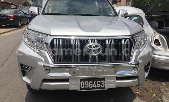 Acheter Neuf Voiture Toyota Prado Gris à Douala, Littoral Cameroon Acheter Neuf Voiture Toyota Prado Gris à Douala, Littoral Cameroon