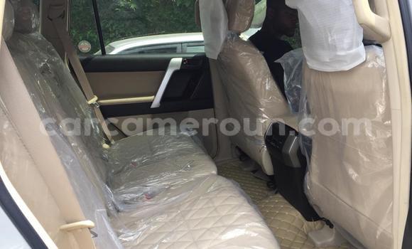 Acheter Neuf Voiture Toyota Prado Gris à Douala, Littoral Cameroon Acheter Neuf Voiture Toyota Prado Gris à Douala, Littoral Cameroon