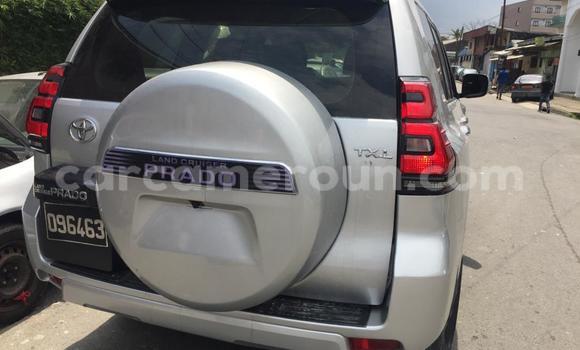 Acheter Neuf Voiture Toyota Prado Gris à Douala, Littoral Cameroon Acheter Neuf Voiture Toyota Prado Gris à Douala, Littoral Cameroon