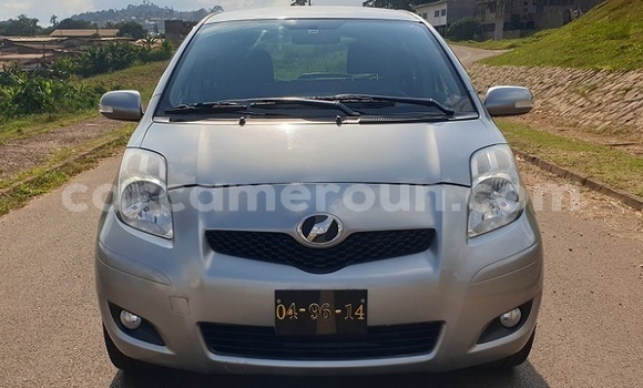 Buy New Toyota Yaris Silver Car in Yaounde in Central Cameroon Buy New Toyota Yaris Silver Car in Yaounde in Central Cameroon