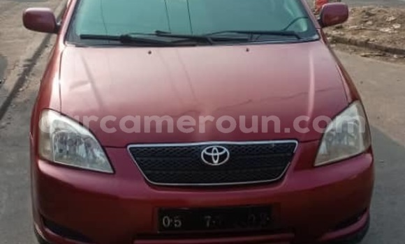 Acheter Occasion Voiture Toyota Runx Rouge à Douala, Littoral Cameroon Acheter Occasion Voiture Toyota Runx Rouge à Douala, Littoral Cameroon