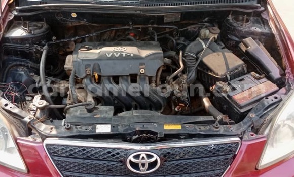 Acheter Occasion Voiture Toyota Runx Rouge à Douala, Littoral Cameroon Acheter Occasion Voiture Toyota Runx Rouge à Douala, Littoral Cameroon