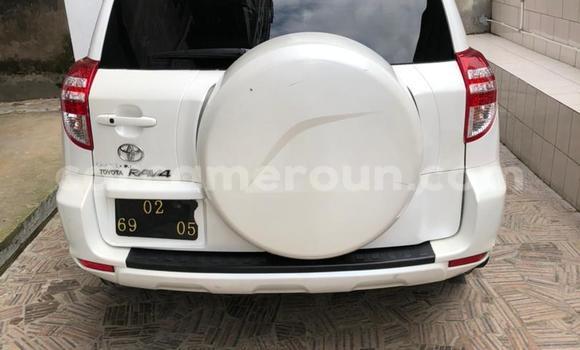 Sayi Sabo Toyota RAV4 White Mota in Douala a Ƙasar Kamaru Sayi Sabo Toyota RAV4 White Mota in Douala a Ƙasar Kamaru