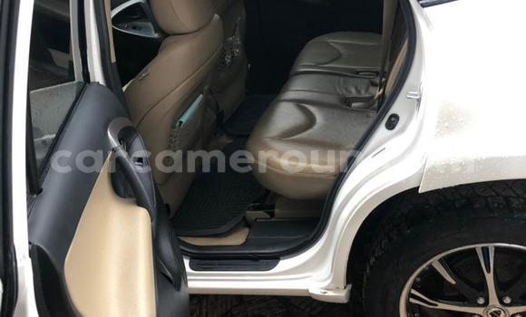 Sayi Sabo Toyota RAV4 White Mota in Douala a Ƙasar Kamaru Sayi Sabo Toyota RAV4 White Mota in Douala a Ƙasar Kamaru