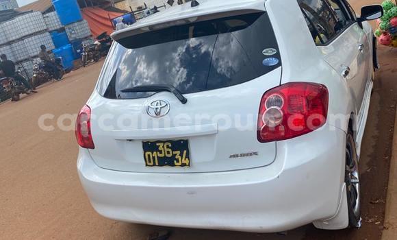 Acheter Occasion Voiture Toyota Auris Blanc à Douala, Littoral Cameroon Acheter Occasion Voiture Toyota Auris Blanc à Douala, Littoral Cameroon