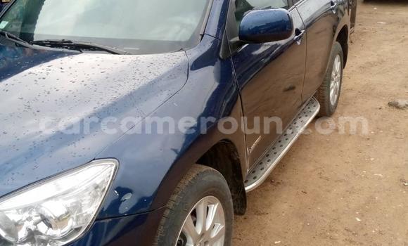 Buy Used Toyota RAV4 Blue Car in Douala in Littoral Cameroon Buy Used Toyota RAV4 Blue Car in Douala in Littoral Cameroon