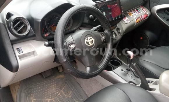 Buy Used Toyota RAV4 Blue Car in Douala in Littoral Cameroon Buy Used Toyota RAV4 Blue Car in Douala in Littoral Cameroon