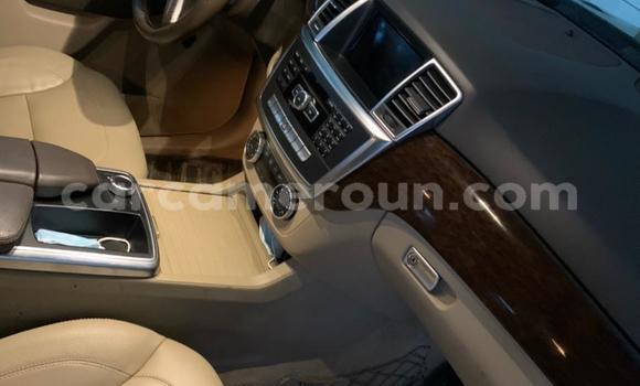 Buy Used Mercedes‒Benz ML–Class Blue Car in Douala in Littoral Cameroon Buy Used Mercedes‒Benz ML–Class Blue Car in Douala in Littoral Cameroon