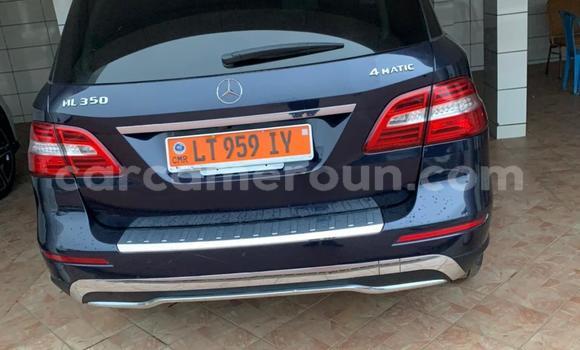 Buy Used Mercedes‒Benz ML–Class Blue Car in Douala in Littoral Cameroon Buy Used Mercedes‒Benz ML–Class Blue Car in Douala in Littoral Cameroon