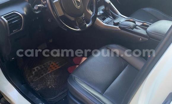 Sayi Na hannu Lexus NX White Mota in Douala a Ƙasar Kamaru Sayi Na hannu Lexus NX White Mota in Douala a Ƙasar Kamaru