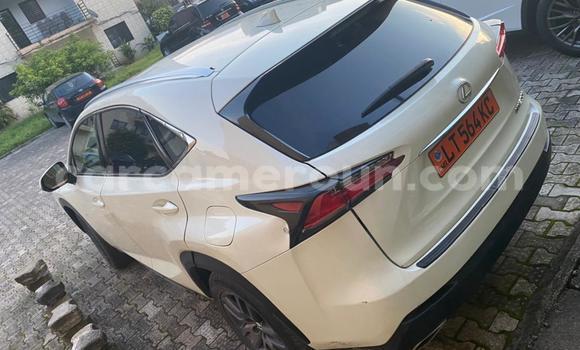 Sayi Na hannu Lexus NX White Mota in Douala a Ƙasar Kamaru Sayi Na hannu Lexus NX White Mota in Douala a Ƙasar Kamaru