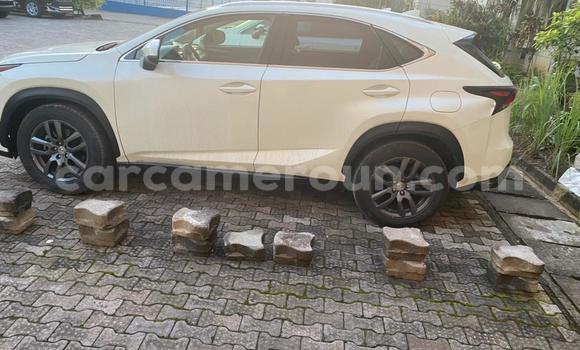 Sayi Na hannu Lexus NX White Mota in Douala a Ƙasar Kamaru Sayi Na hannu Lexus NX White Mota in Douala a Ƙasar Kamaru