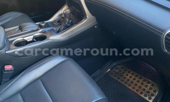 Sayi Na hannu Lexus NX White Mota in Douala a Ƙasar Kamaru Sayi Na hannu Lexus NX White Mota in Douala a Ƙasar Kamaru