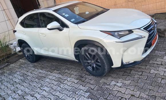 Sayi Na hannu Lexus NX White Mota in Douala a Ƙasar Kamaru Sayi Na hannu Lexus NX White Mota in Douala a Ƙasar Kamaru