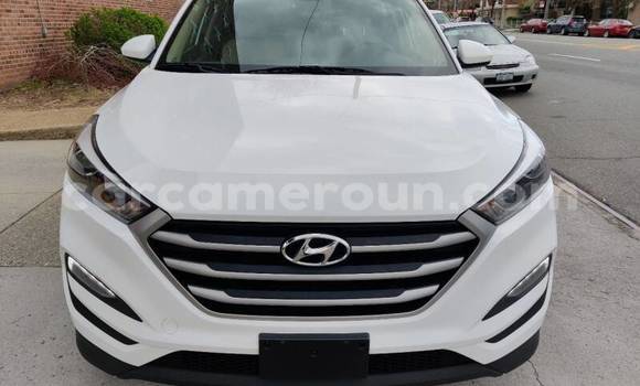 Acheter Occasion Voiture Hyundai Tucson Blanc à Bafia, Central Cameroon Acheter Occasion Voiture Hyundai Tucson Blanc à Bafia, Central Cameroon