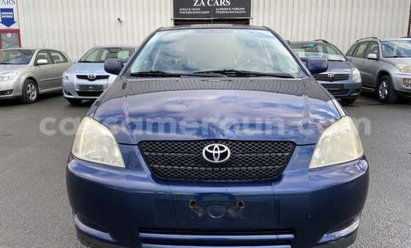 Buy Used Toyota Corolla Blue Car in Bafoussam in West Cameroon Buy Used Toyota Corolla Blue Car in Bafoussam in West Cameroon