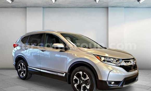 Buy Import Honda CR–V Silver Car in Douala in Littoral Cameroon Buy Import Honda CR–V Silver Car in Douala in Littoral Cameroon