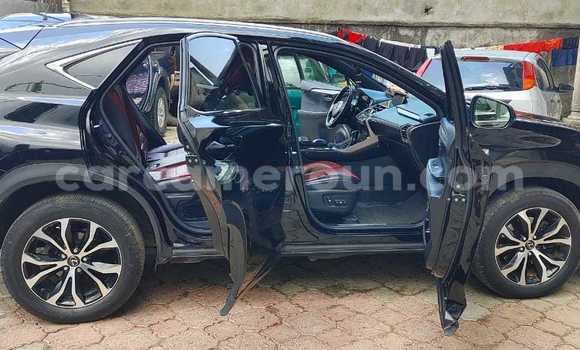 Sayi Imported Lexus NX Black Mota in Douala a Ƙasar Kamaru Sayi Imported Lexus NX Black Mota in Douala a Ƙasar Kamaru
