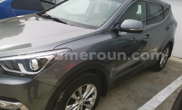 Buy Used Hyundai Santa Fe Silver Car in Douala in Littoral Cameroon Buy Used Hyundai Santa Fe Silver Car in Douala in Littoral Cameroon