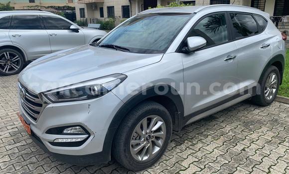 Buy Used Hyundai Tucson Silver Car in Douala in Littoral Cameroon Buy Used Hyundai Tucson Silver Car in Douala in Littoral Cameroon