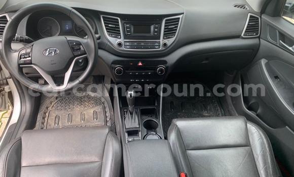 Buy Used Hyundai Tucson Silver Car in Douala in Littoral Cameroon Buy Used Hyundai Tucson Silver Car in Douala in Littoral Cameroon