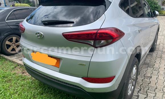 Buy Used Hyundai Tucson Silver Car in Douala in Littoral Cameroon Buy Used Hyundai Tucson Silver Car in Douala in Littoral Cameroon