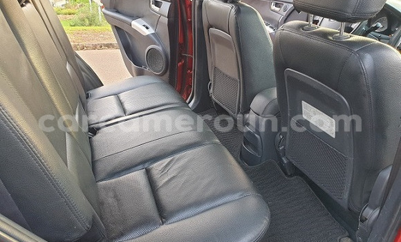 Buy New Kia Sportage Red Car in Yaounde in Central Cameroon Buy New Kia Sportage Red Car in Yaounde in Central Cameroon