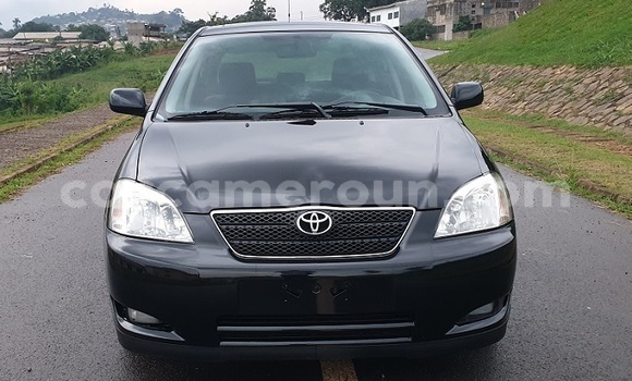 Buy New Toyota Corolla Black Car in Yaounde in Central Cameroon Buy New Toyota Corolla Black Car in Yaounde in Central Cameroon