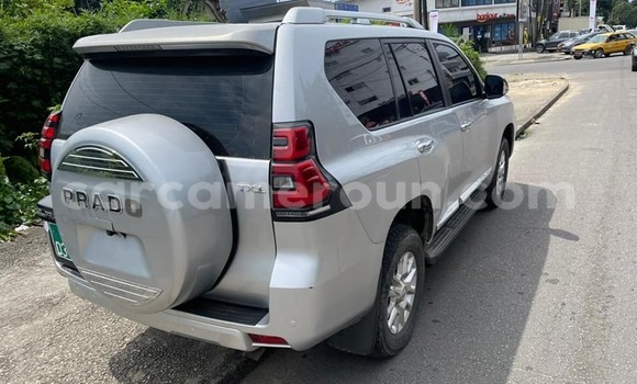 Buy New Toyota Prado Silver Car in Douala in Littoral Cameroon Buy New Toyota Prado Silver Car in Douala in Littoral Cameroon