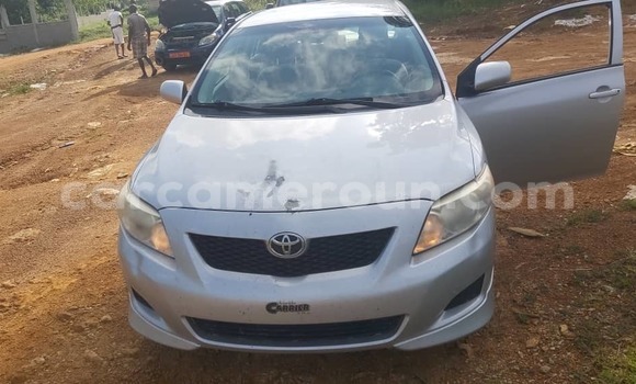 Buy Import Toyota Corolla Silver Car in Douala in Littoral Cameroon Buy Import Toyota Corolla Silver Car in Douala in Littoral Cameroon