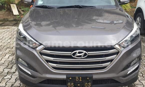 Sayi Na hannu Hyundai Tucson Azurfa Mota in Douala a Ƙasar Kamaru Sayi Na hannu Hyundai Tucson Azurfa Mota in Douala a Ƙasar Kamaru
