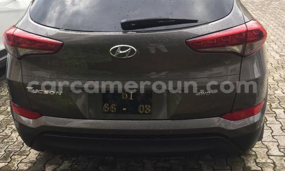 Sayi Na hannu Hyundai Tucson Azurfa Mota in Douala a Ƙasar Kamaru Sayi Na hannu Hyundai Tucson Azurfa Mota in Douala a Ƙasar Kamaru